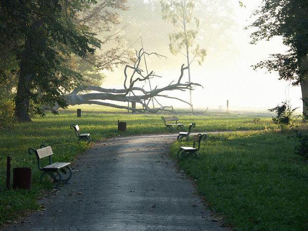 Forrest Hotel 3*